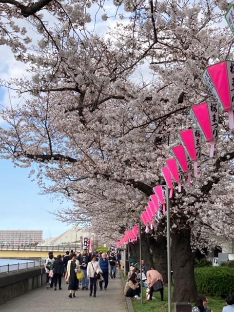 Sky Tree Inn Ⅱ（晴樹宿ⅱ） Токио Екстериор снимка